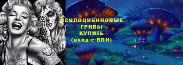 дурь Нягань